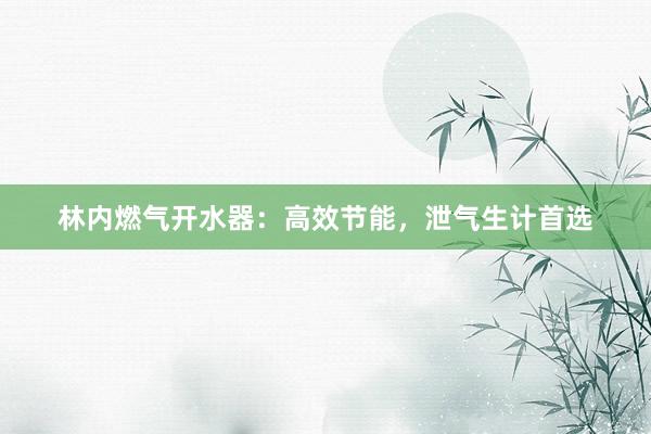林内燃气开水器：高效节能，泄气生计首选