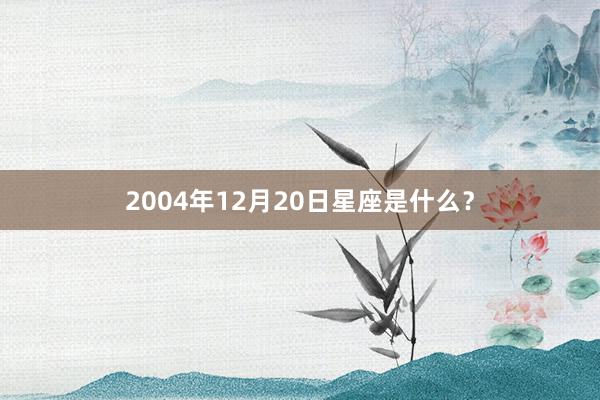 2004年12月20日星座是什么？